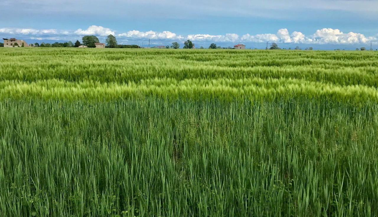 Agriturismo Casale Ai Prati Villa Latisana Kültér fotó